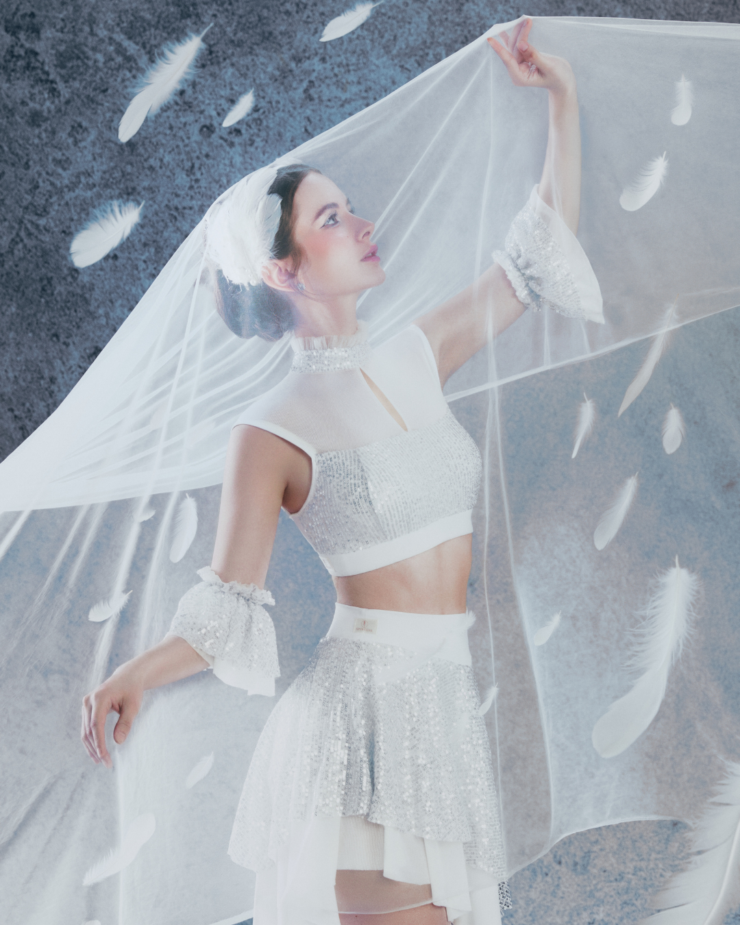 Cặp Tay Phồng Sequin